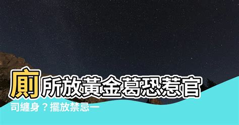 廁所放黃金葛|黃金葛適合放哪裡？打造旺財廁所的植物指南 